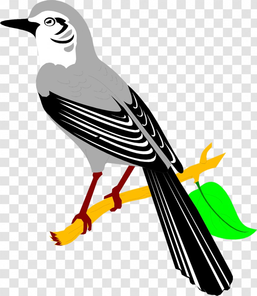 Northern Mockingbird Clip Art - State Bird Transparent PNG