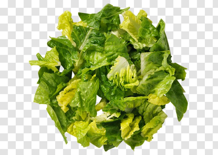 Romaine Lettuce Caesar Salad Vegetable Vegetarian Cuisine - Health Transparent PNG