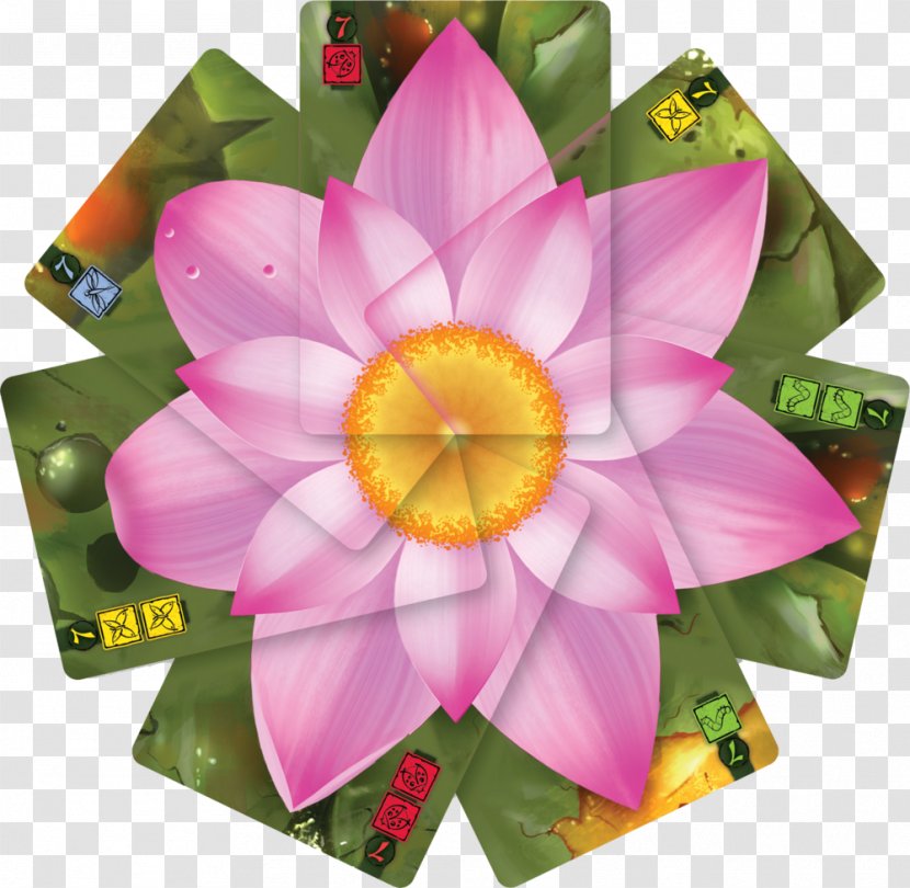 Monopoly Board Game Card Lotus Transparent PNG