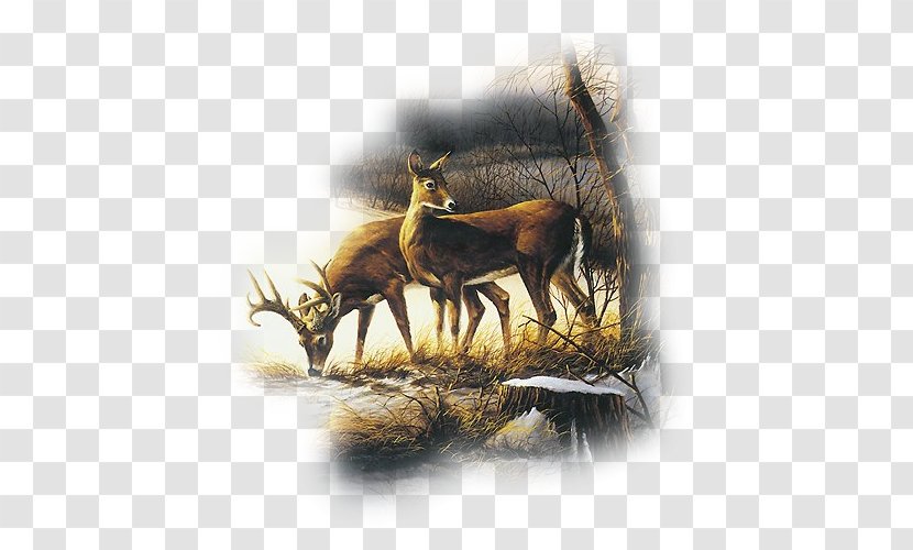 Painting Deer Art Elk Drawing - Terry Redlin Transparent PNG