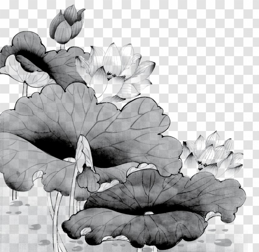 Chinese Painting Ink Wash Gongbi Nelumbo Nucifera - Birdandflower - Lotus Transparent PNG