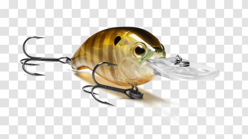 Fishing Baits & Lures Insect Transparent PNG