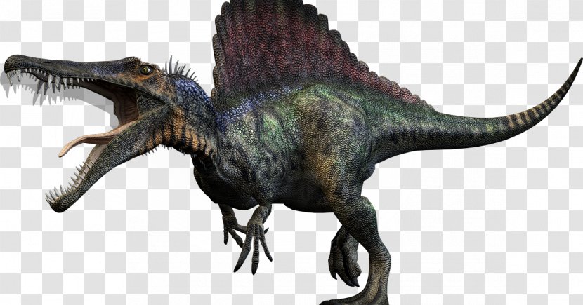 Tyrannosaurus Spinosaurus Dinosaur Size Giganotosaurus Triceratops - Velociraptor Transparent PNG