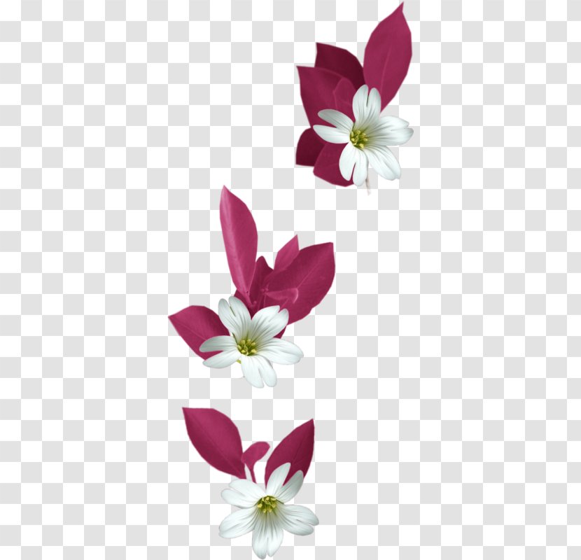 Flower Bokmxc3xa4rke Clip Art - Floral Design - White Lily Decoration Transparent PNG