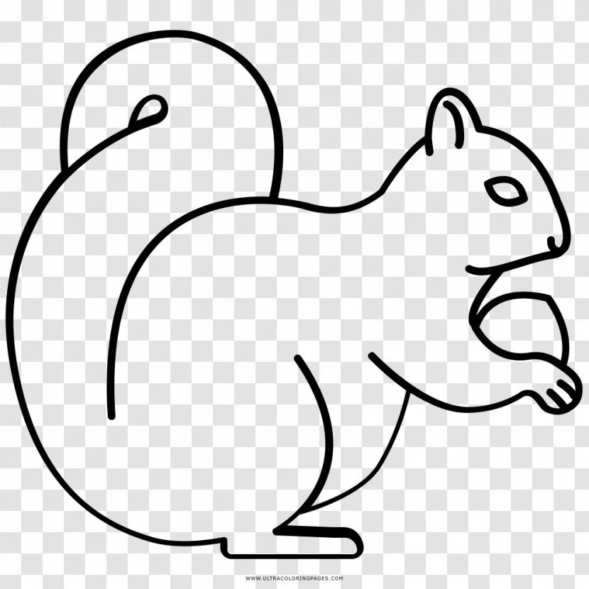 Whiskers Squirrel Rodent Drawing Coloring Book - Heart Transparent PNG