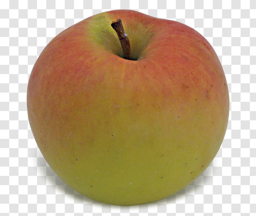 Granny Smith McIntosh Laboratory Apple Idared Transparent PNG