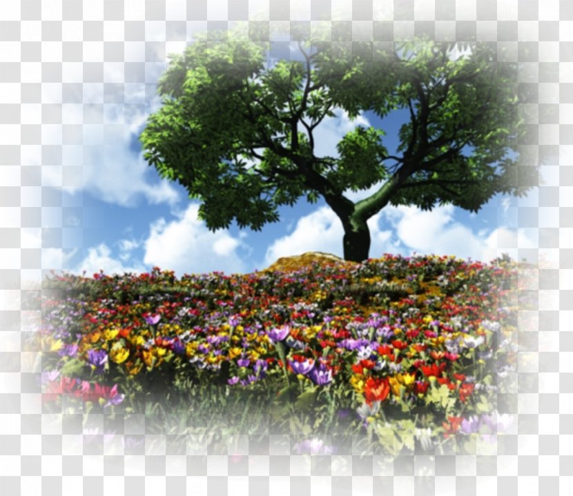 Desktop Wallpaper Landscape Painting Clip Art - Flowering Plant - Mother Nature Transparent PNG