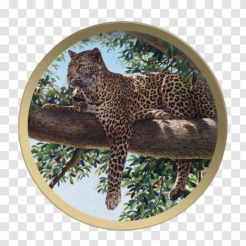 Leopard Jaguar Cheetah Fauna Wildlife - Mammal Transparent PNG