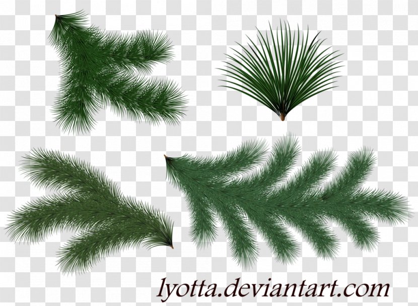 Spruce Twig Pine Christmas Tree - Grass Transparent PNG