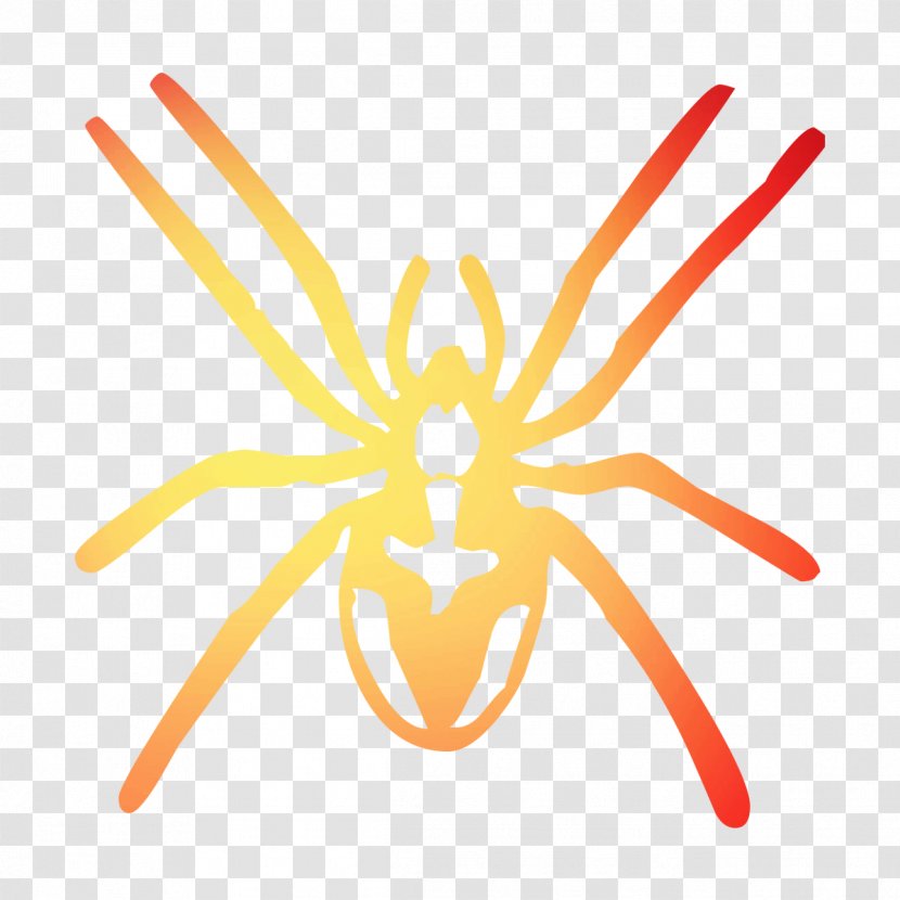 Insect Yellow Line Clip Art Pollinator - Tarantula - Pest Transparent PNG