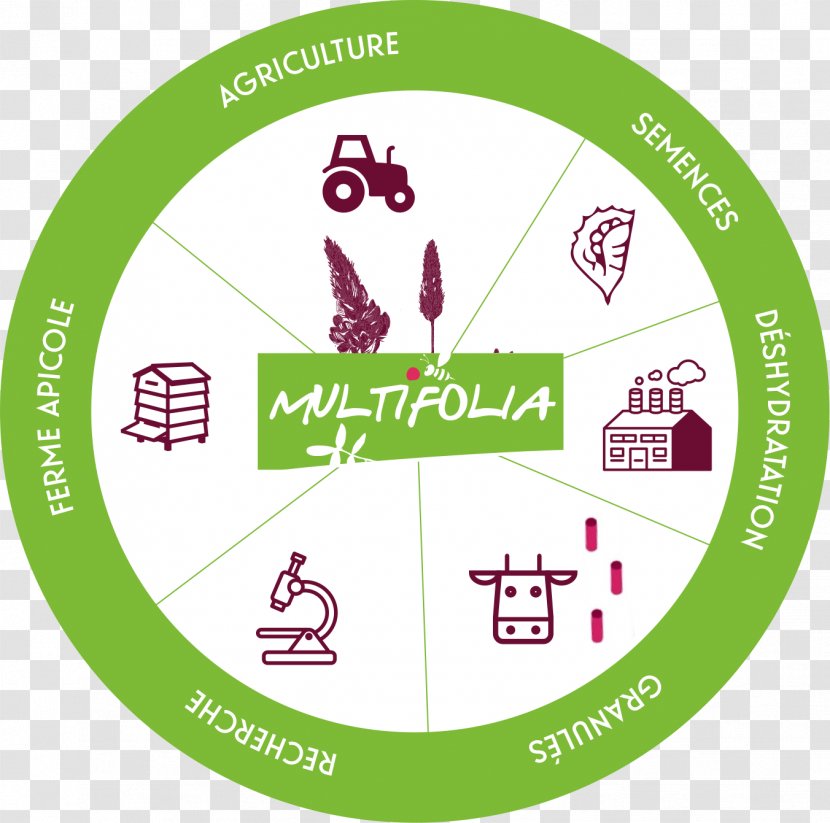 Cooperative Organization Multifolia Partnership Industry - Idea - Brand Transparent PNG