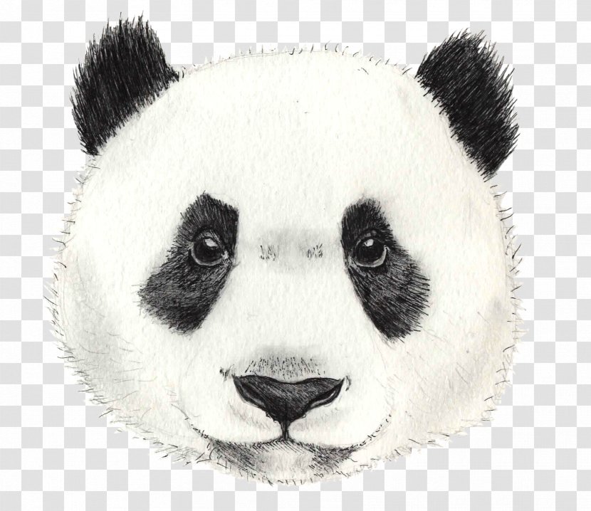 Watercolor Animal - Fur - Stuffed Toy Figure Transparent PNG