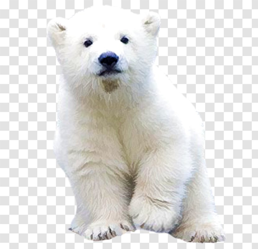 Polar Bear - Watercolor - The Real Cute Free Pull Transparent PNG
