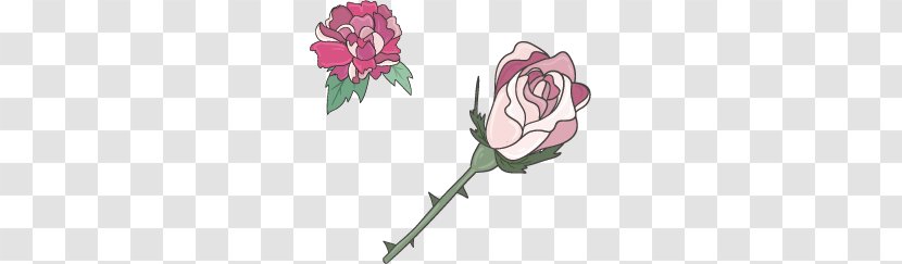Garden Roses Beach Rose Clip Art - Cut Flowers - Hand-painted Women Supplies Transparent PNG