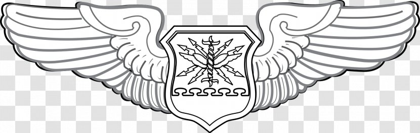 United States Of America Flight Nurse Badge Aircrew - Cartoon - Military Uniform Transparent PNG