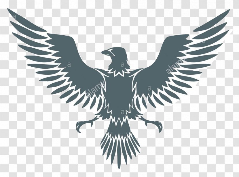Coat Of Arms Eagle Clip Art - Aquila - Falcon Transparent PNG