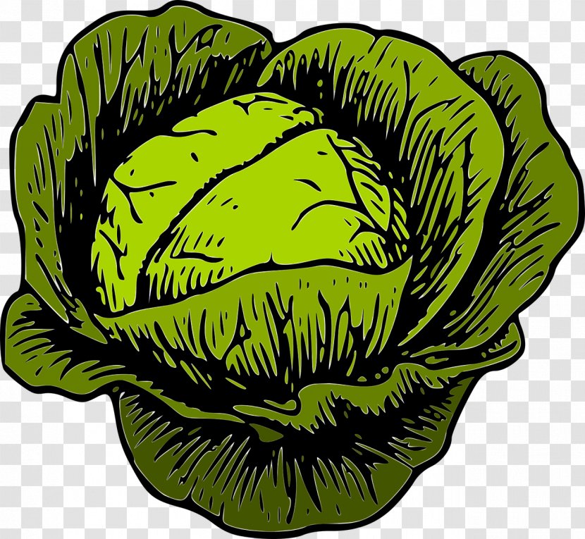 Savoy Cabbage Vegetable Clip Art - Organism - Veggies Transparent PNG