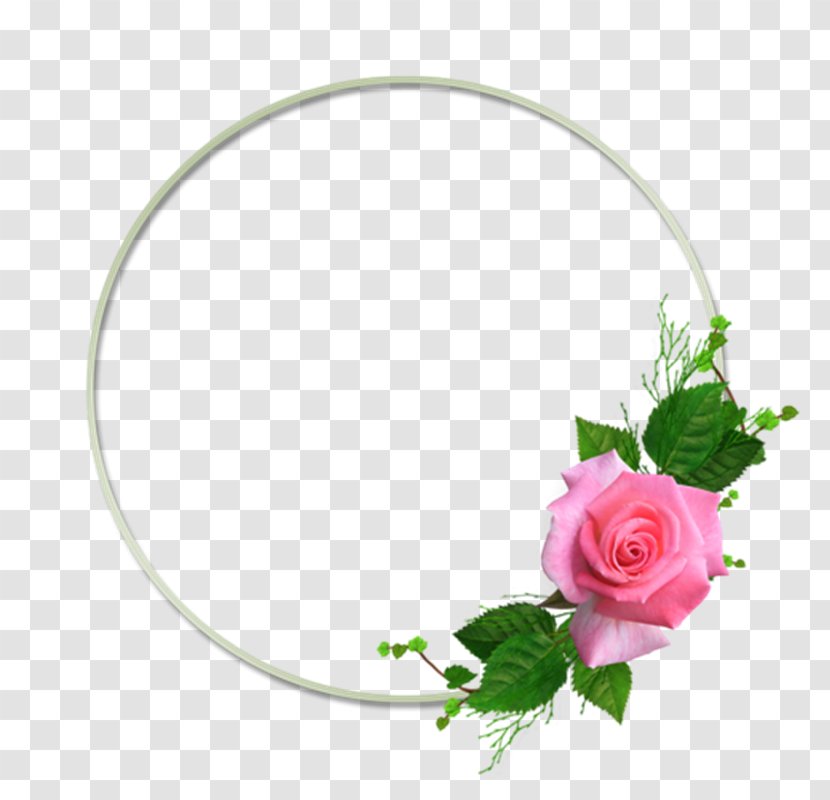 Garden Roses Picture Frames Flower Floral Design Transparent PNG
