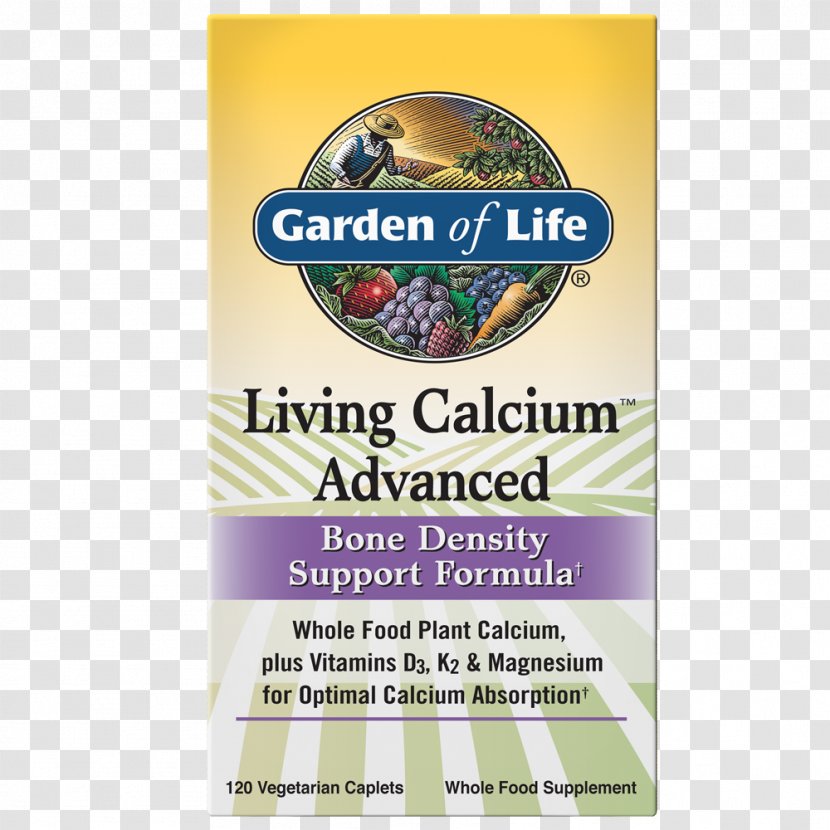 Dietary Supplement Calcium Multivitamin - Capsule - Bone Transparent PNG