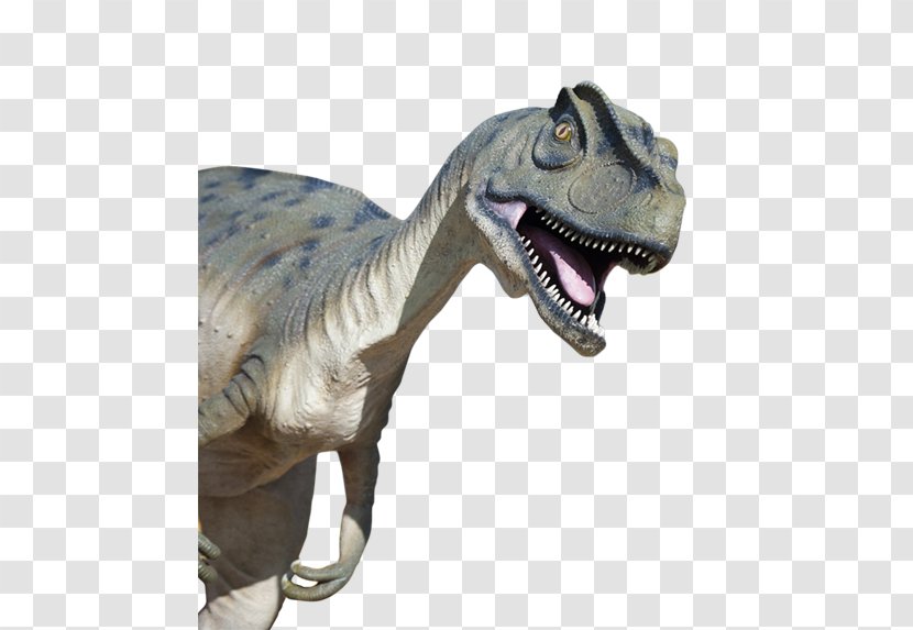 Tyrannosaurus Life-Size Dinosaurs Velociraptor Golf - Dinosaur Transparent PNG