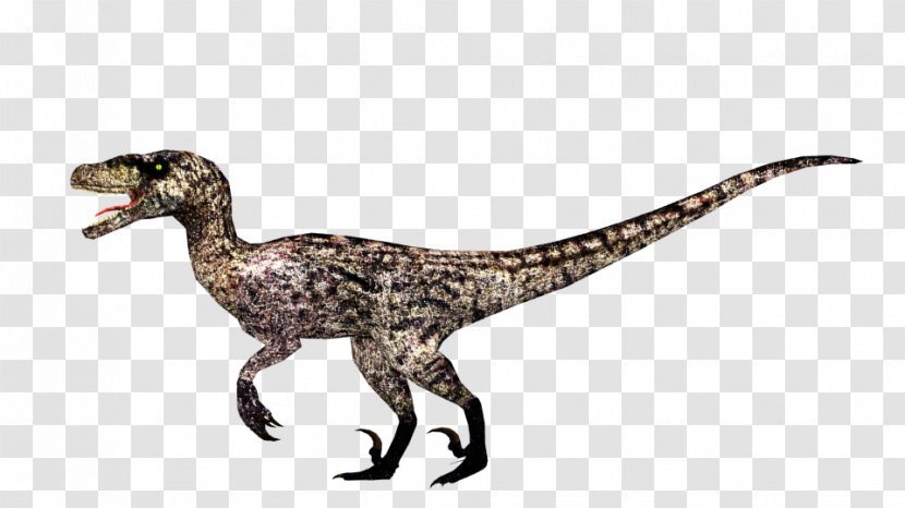 Velociraptor Zoo Tycoon 2 Deinonychus Jurassic Park - Organism Transparent PNG