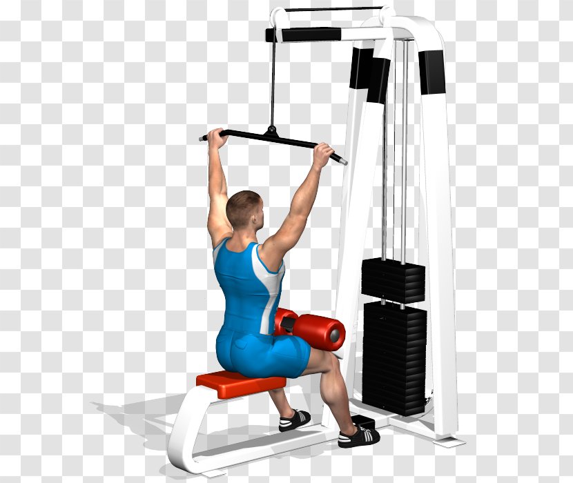 Shoulder Pulldown Exercise Latissimus Dorsi Muscle - Flower - Dumbbell Transparent PNG