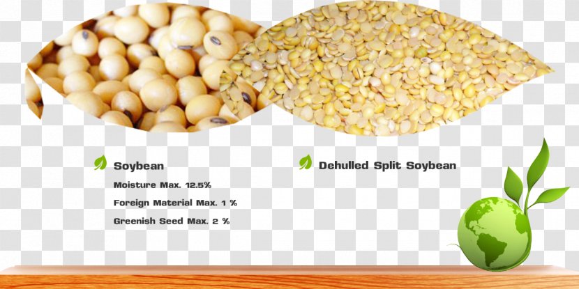Vegetarian Cuisine Soybean Vegetable Commodity Lecithin - Grain - Soyben Transparent PNG