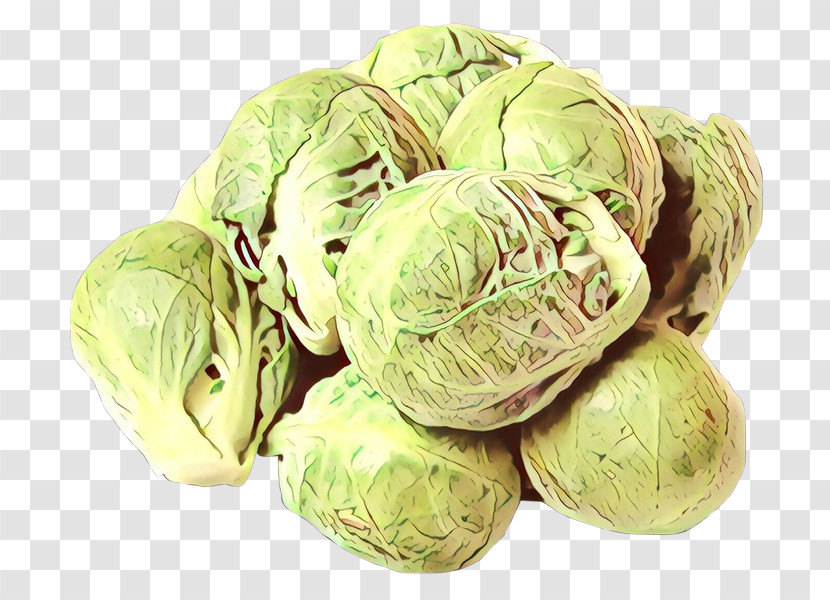 Cabbage Leaf Vegetable Vegetable Brussels Sprout Food Transparent PNG