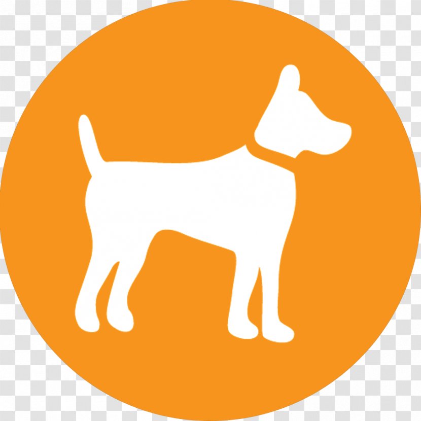 Puppy Affenpinscher Afghan Hound Airedale Terrier Pet Shop - Dog Training Transparent PNG