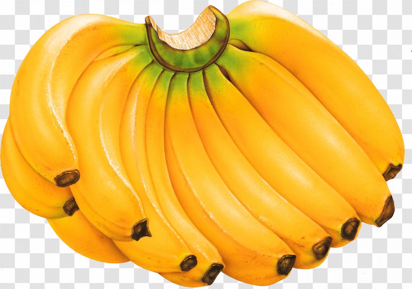 Cooking Banana Fruit - Image Transparent PNG