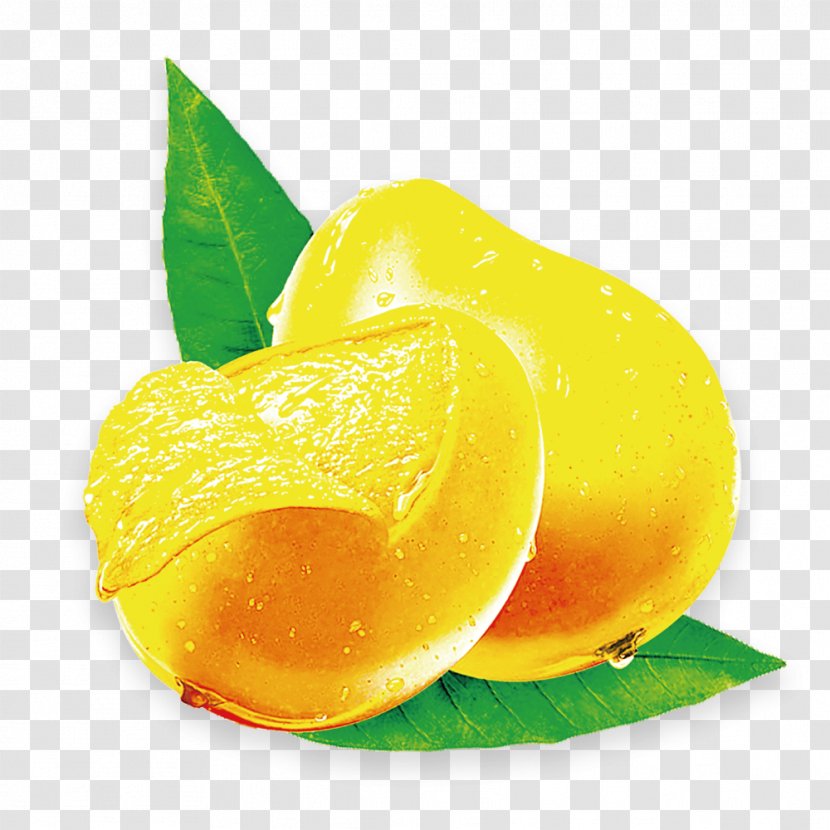 Juice Mango Fruit Lemon - Seed - Vector Food Transparent PNG