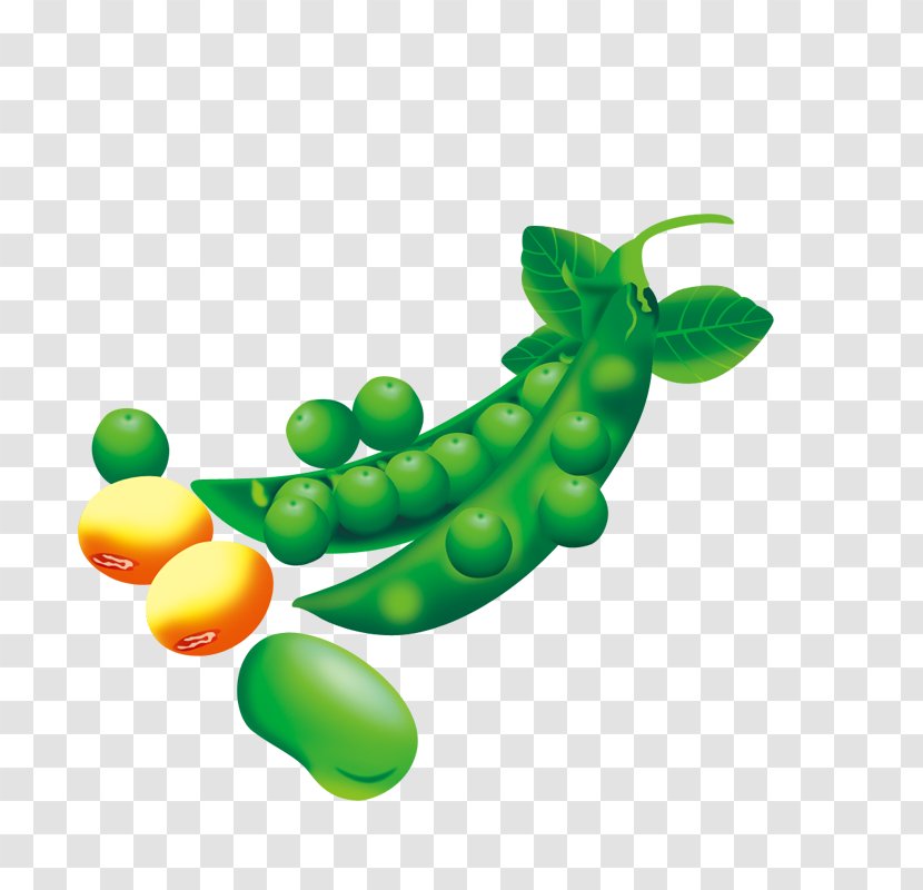 Pea Edamame Soybean Lima Bean - Produce Transparent PNG