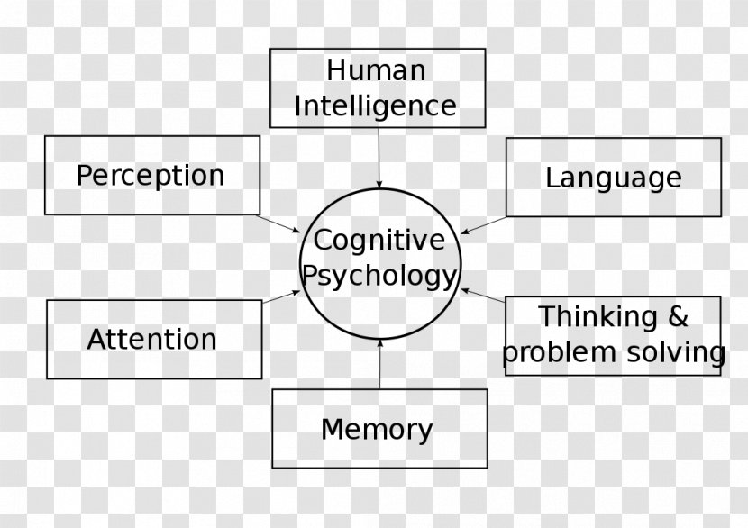 Cognitive Psychology Cognition Psychologist History Of - Memory Transparent PNG