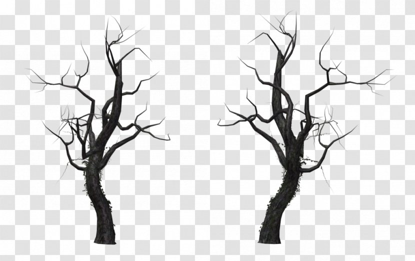 Tree Branch Snag - Dead Transparent PNG