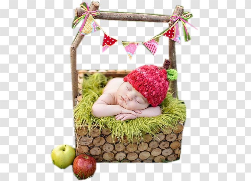 Infant Food Gift Baskets Advertising 0 - 2014 - 2017 Transparent PNG