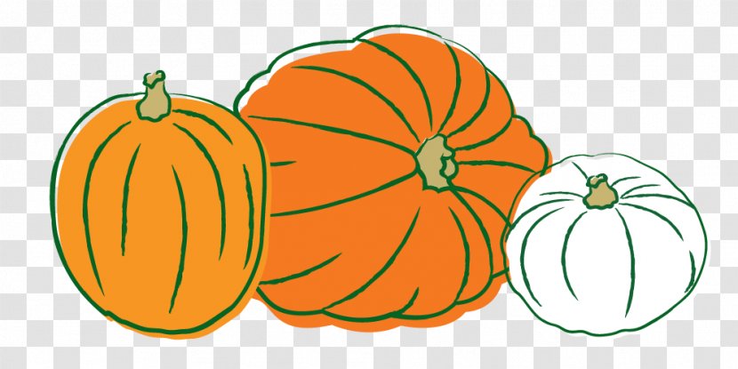 Pumpkin Calabaza Gourd Winter Squash Clip Art - Vegetable - Pictures Of Animated Pumpkins Transparent PNG