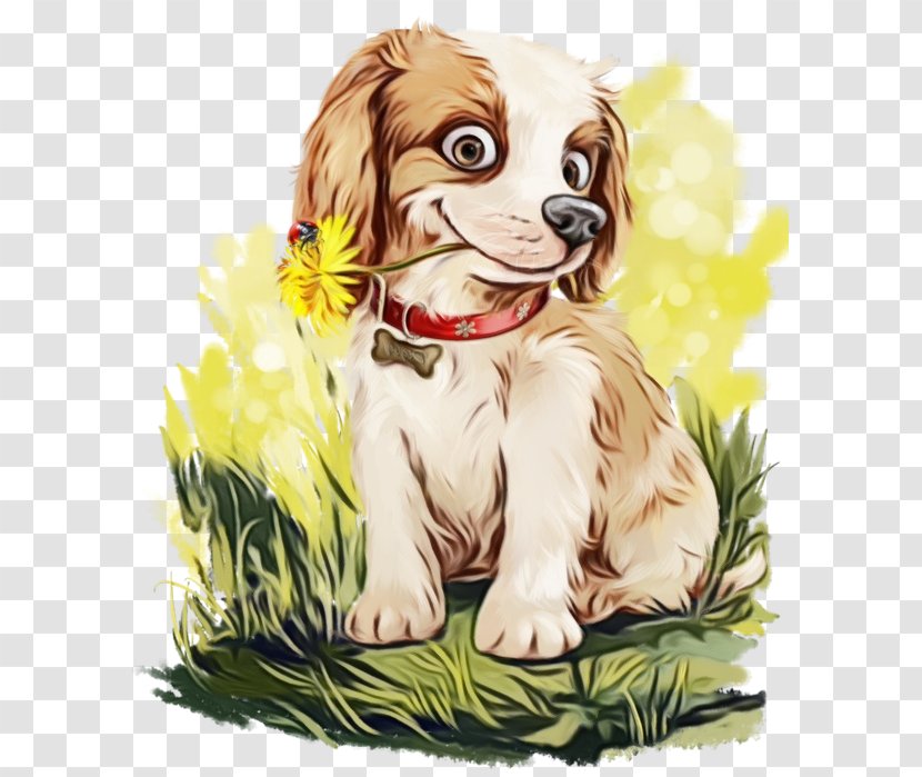 Dog Breed Cocker Spaniel King Charles - Companion Transparent PNG