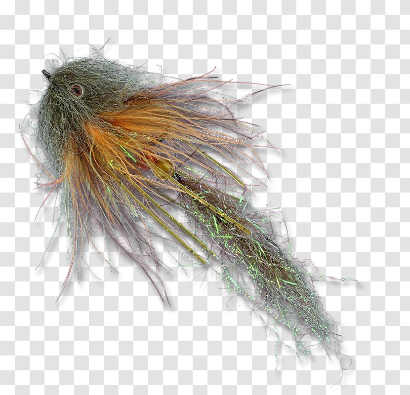 Leech Fly Fishing The Shop Bait Fish - Feather Falling Material Transparent PNG