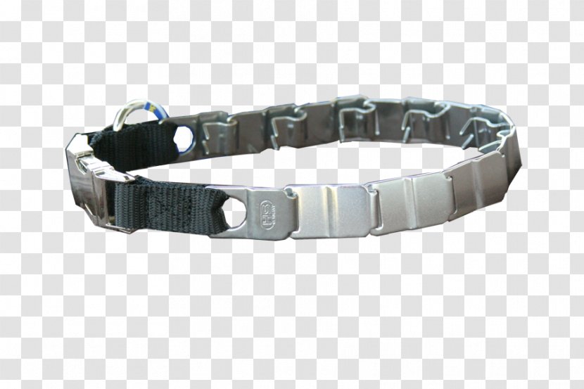 Bracelet Dog Collar Metal - Rehabilitation Chart For Teeth Transparent PNG