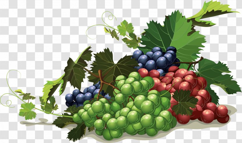 Grape Fruit Berry - Strawberry - Grapes Transparent PNG