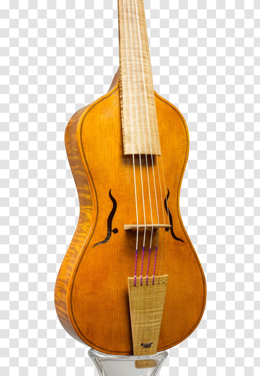 Bass Violin Violone Viola Guitar Acoustic - Frame Transparent PNG