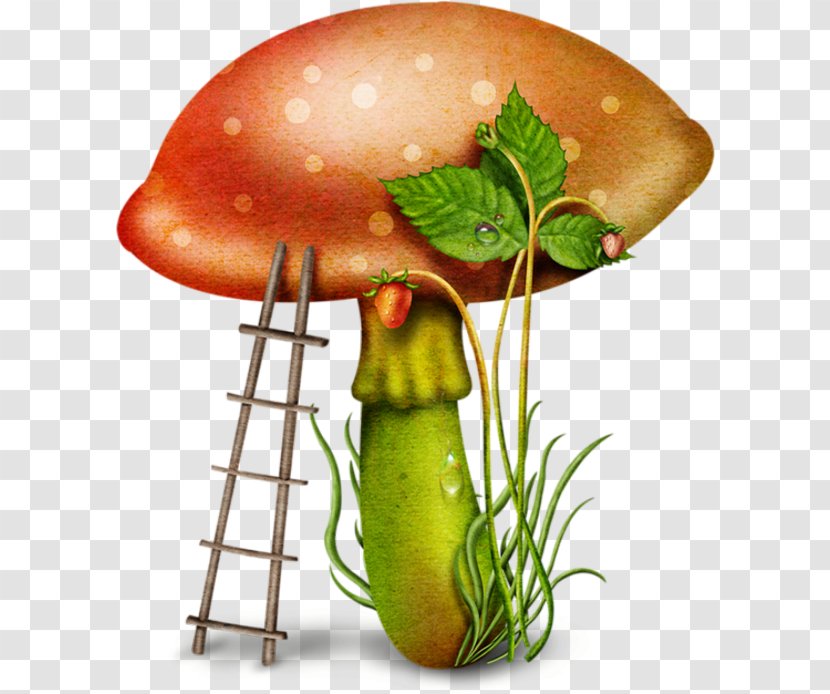 Mushroom Fungus Download Clip Art Transparent PNG