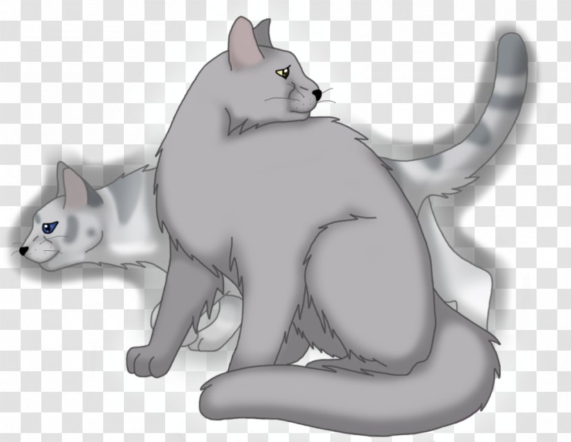 Whiskers Kitten Cat Ivypool Dovewing - Like Mammal Transparent PNG