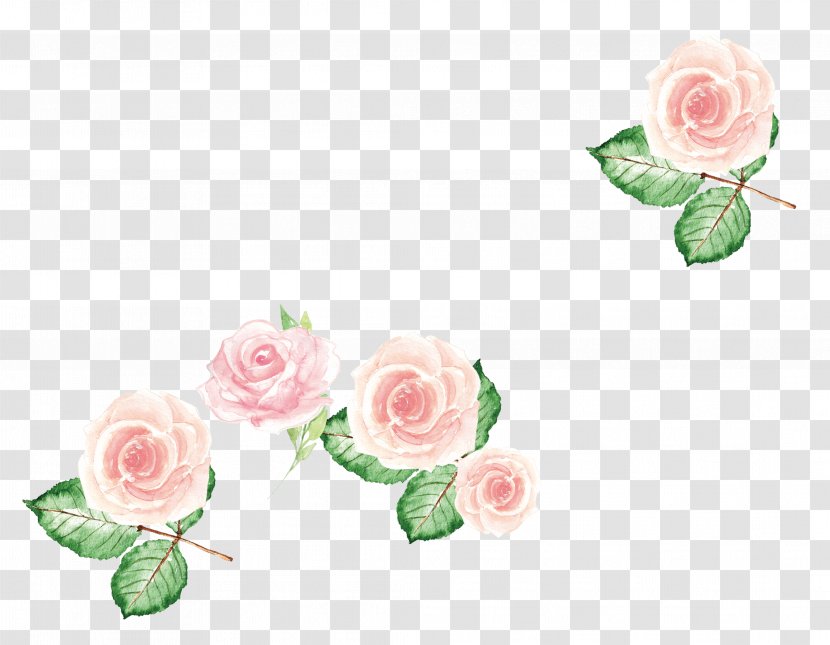 Garden Roses Centifolia Pink Flower - Floral Design - Flowers Transparent PNG