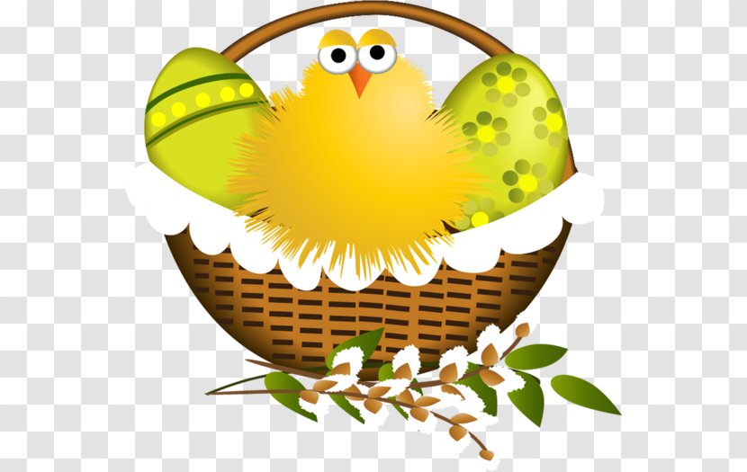 Easter Egg Background - Cartoon - Wing Owl Transparent PNG