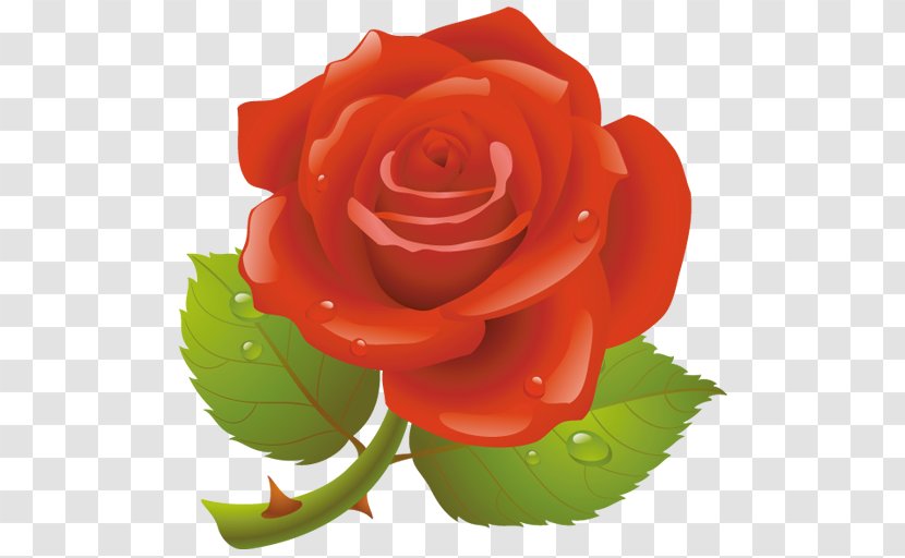 Red Valentines Day Rose Clip Art - Petal - Valentine's Transparent PNG