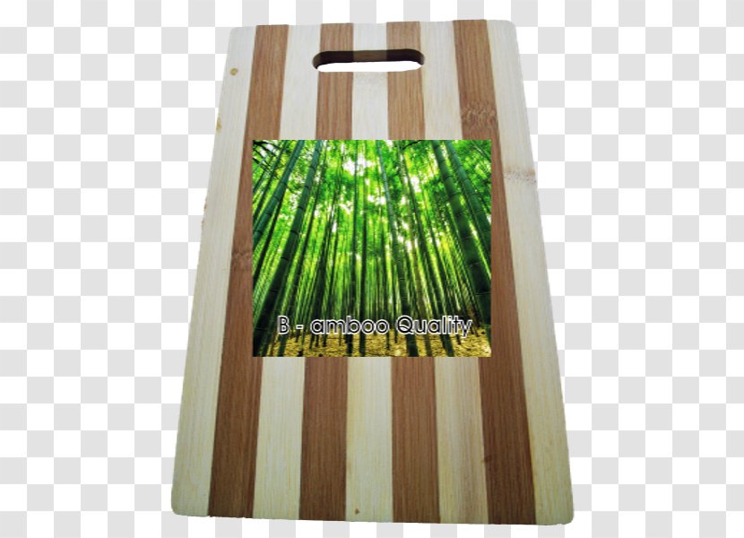 Tropical Woody Bamboos /m/083vt Lawn - Brett Transparent PNG