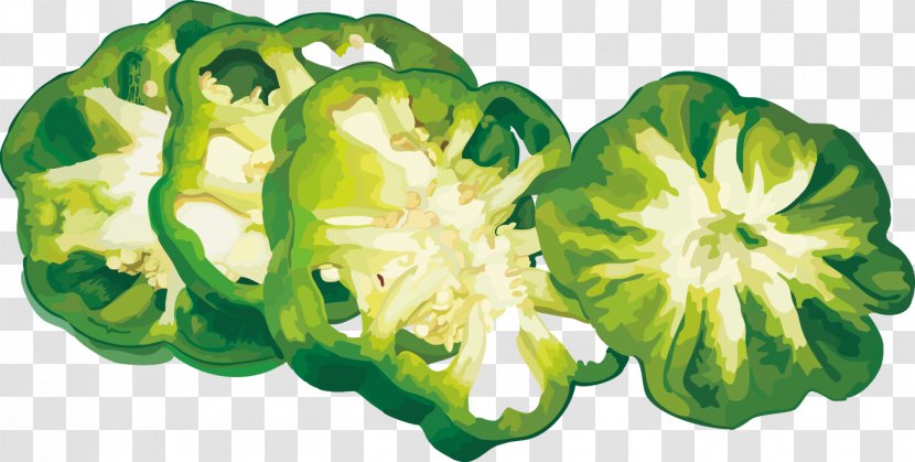 Bell Pepper Vegetable - Auglis - Ultra-realistic Transparent PNG