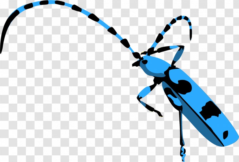 Insect Technology Clip Art - Membrane Winged Transparent PNG