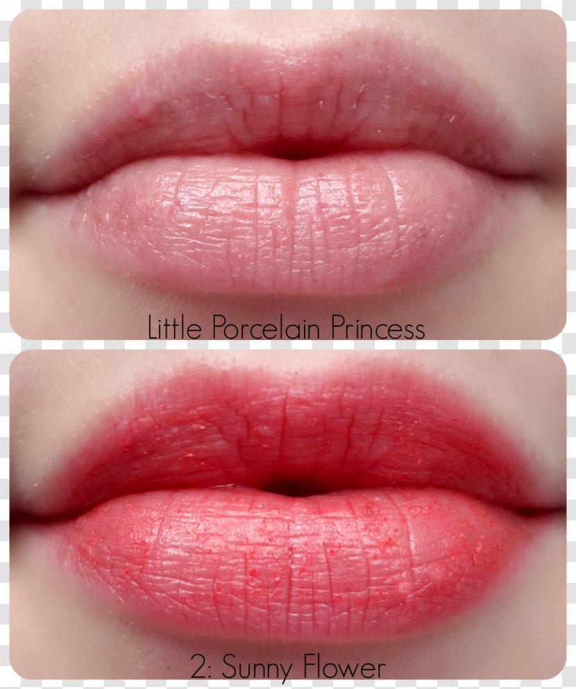 Lipstick Color Rose Lip Gloss - Rosy Lips And Pretty White Teeth Transparent PNG